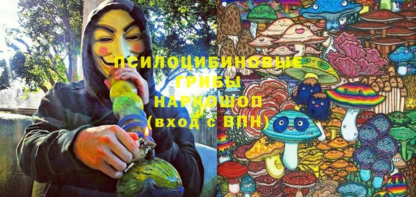 стаф Вязьма